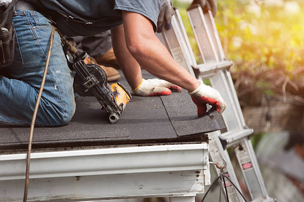 Best Local Roofing Companies  in Clearview, WA