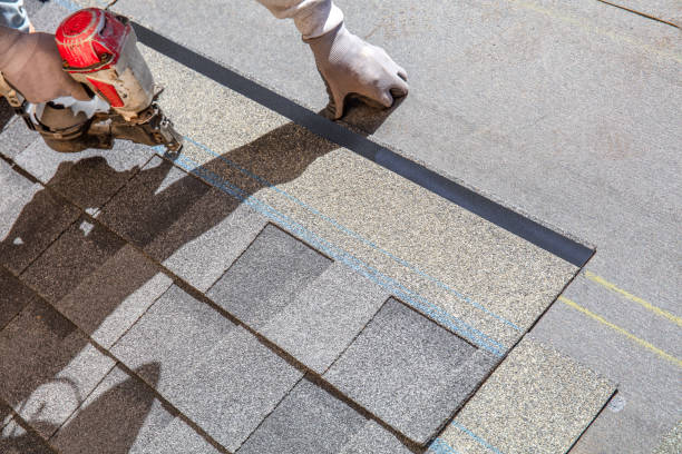 Best Roof Gutter Cleaning  in Clearview, WA